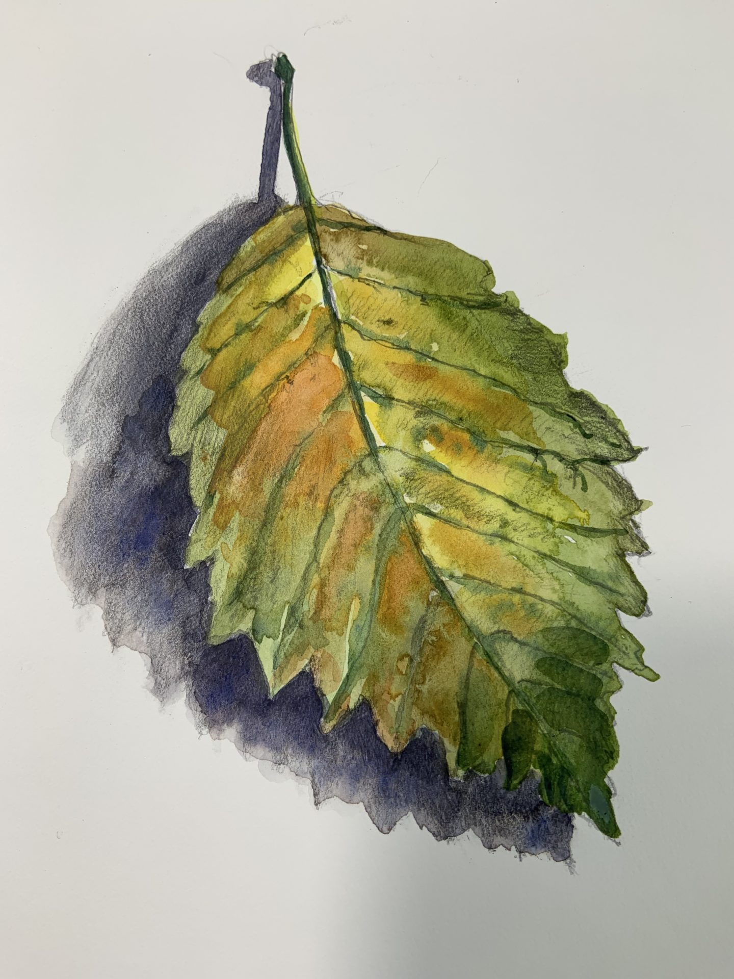 Leaf K Moore